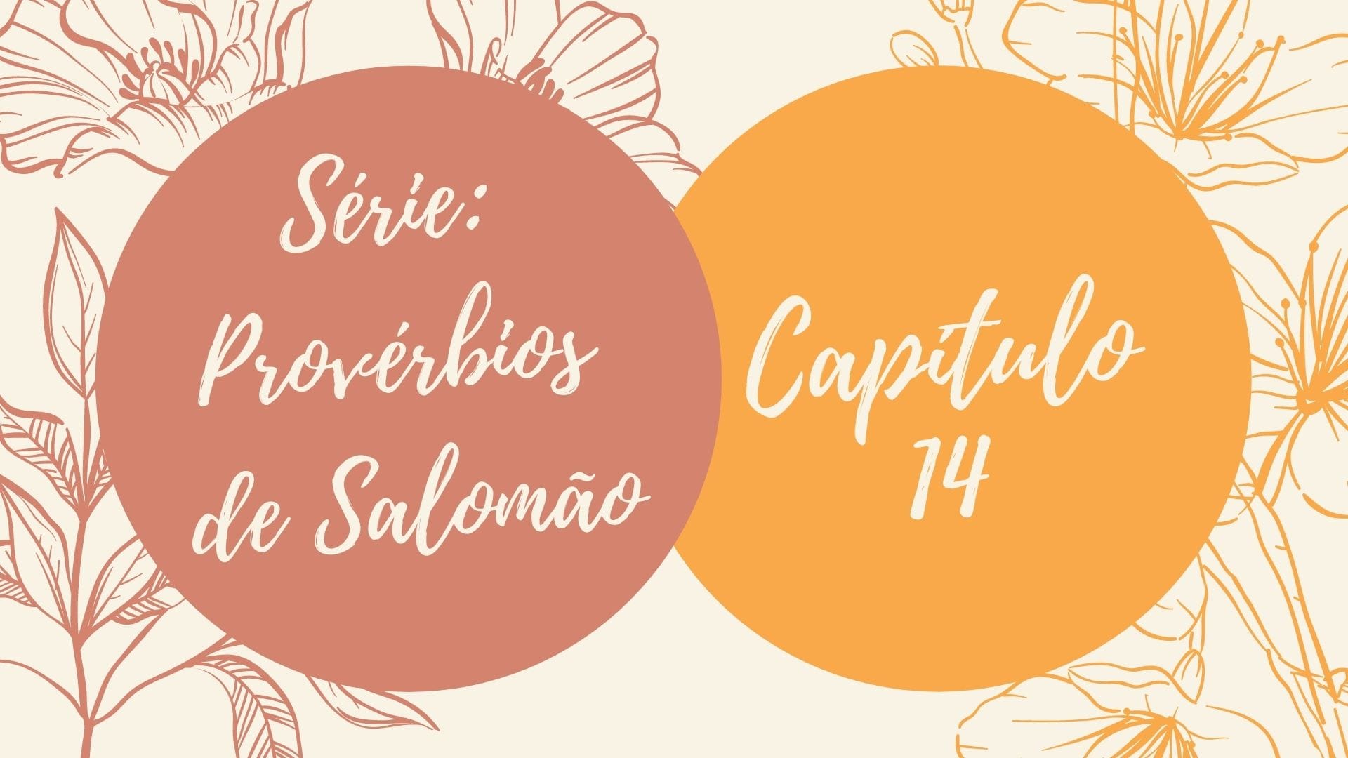 Série: Provérbios de Salomão - Dia 14