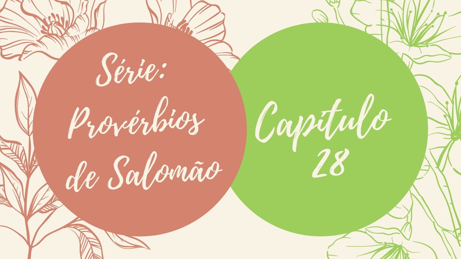 Série: Provérbios de Salomão - Dia 28