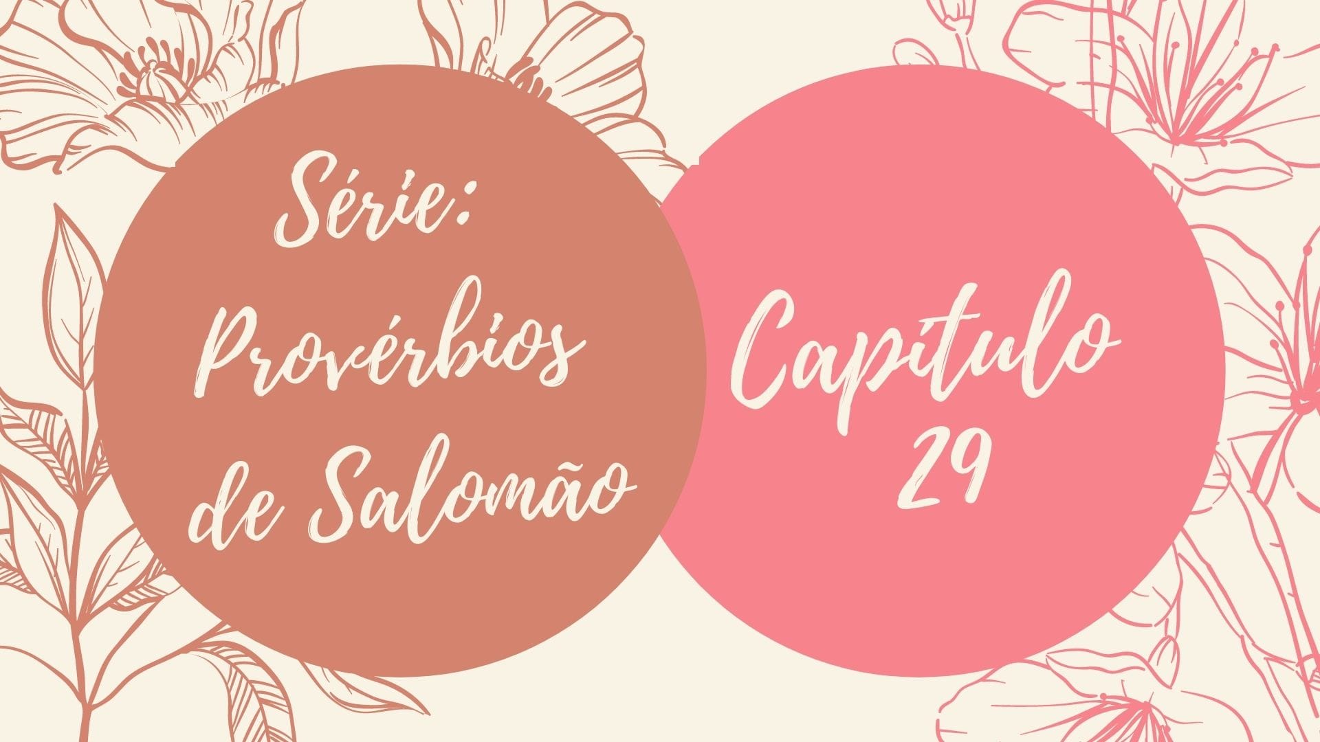 Série: Provérbios de Salomão - Dia 29